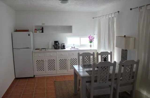 Bayahibe Guesthouse Appartement cuisine